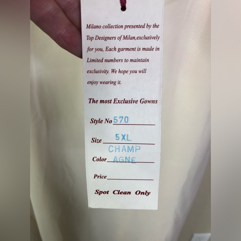 Milano Formals Chiffon Gown Champagne NWT 5XL - Picture 10 of 10